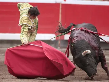 El matador de toros Miguel Angel Perera, con la muleta en su último toro El matador de toros Miguel Angel Perera, con la muleta en su último toro