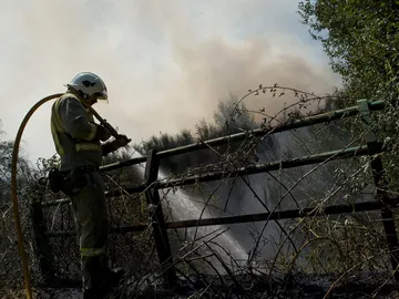 Un brigadista lucha contra el fuego en el incendio registrado en el muinicipio orensano de Cualedro Un brigadista lucha contra el fuego en el incendio registrado en el muinicipio orensano de Cualedro
