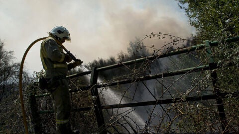 Un brigadista lucha contra el fuego en el incendio registrado en el muinicipio orensano de Cualedro