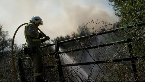 Un brigadista lucha contra el fuego en el incendio registrado en el muinicipio orensano de Cualedro Un brigadista lucha contra el fuego en el incendio registrado en el muinicipio orensano de Cualedro