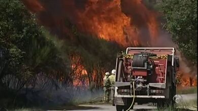 Logran controlar los incendios de Cualedro tras quemar 2.175 hectáreas