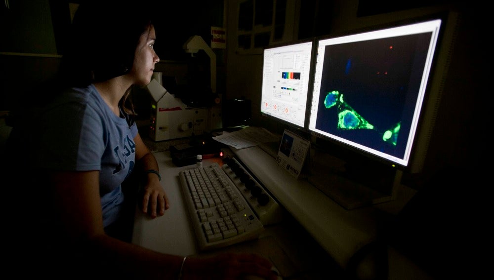 Investigación en laboratorio
