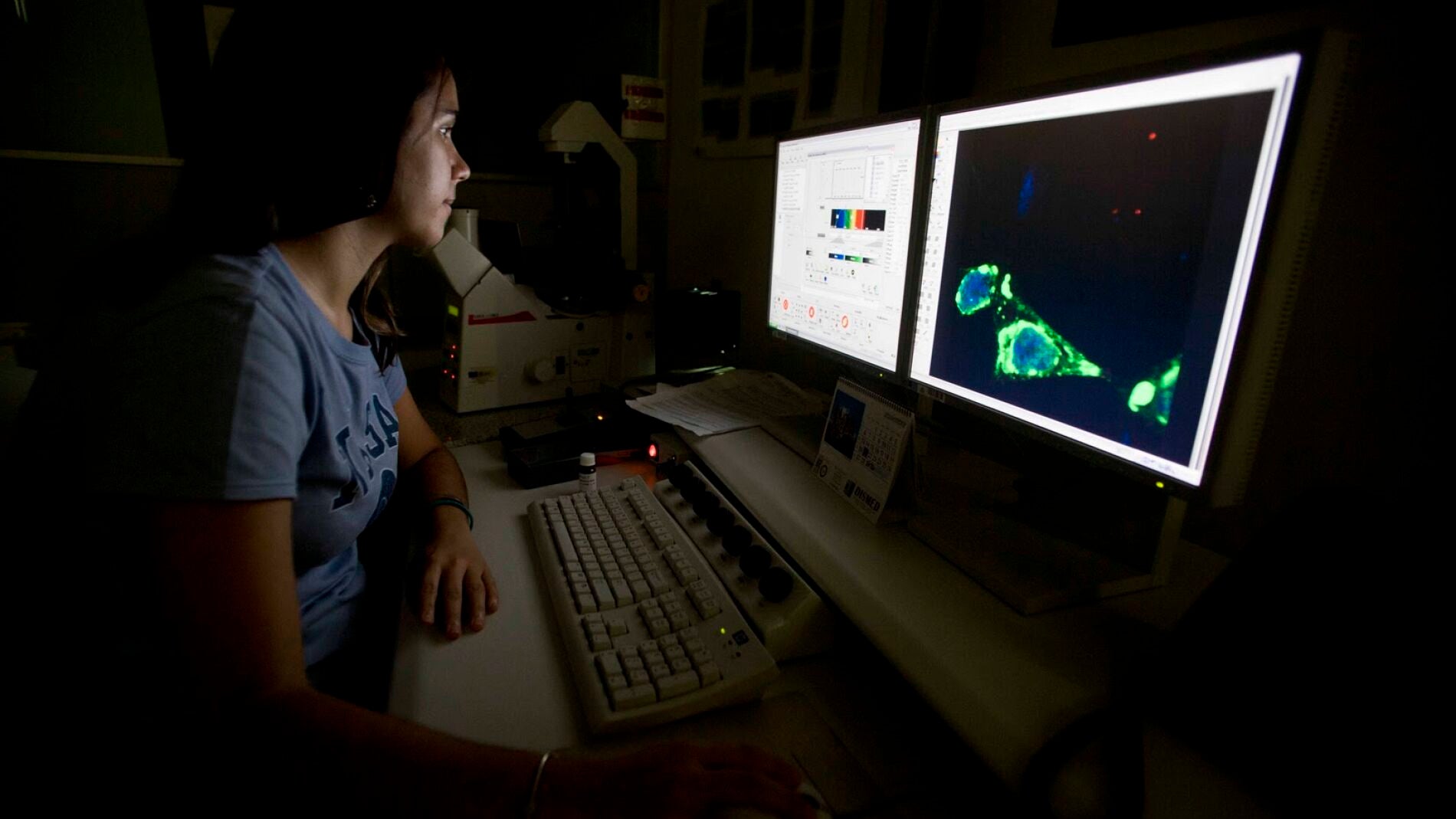Investigaci&oacute;n en laboratorio
