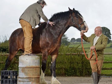 Tratando de subir al caballo