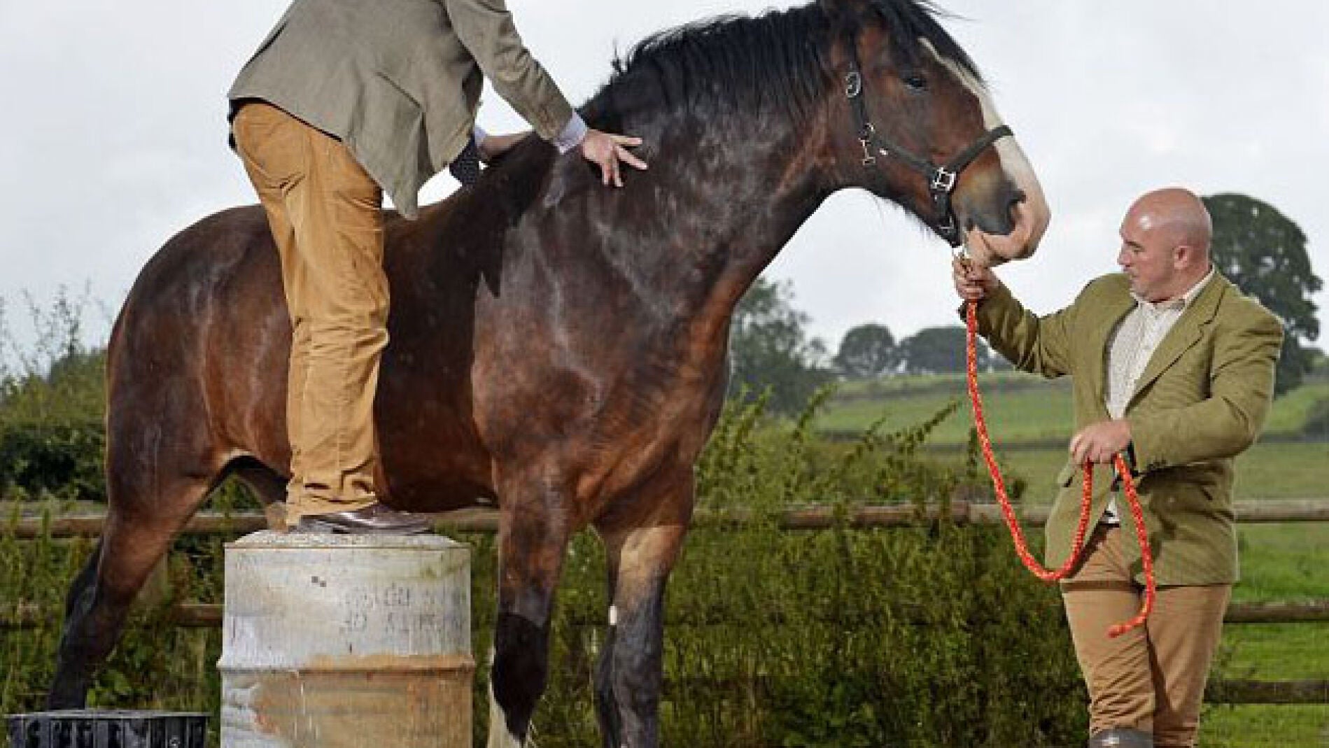 Tratando de subir al caballo