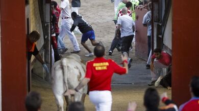 Los encierros de San Sebastián de los Reyes se saldan con su primer herido por asta