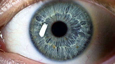 Una clínica ofrece cambiar el color de ojos sin cirugía por unos 2.000 euros
