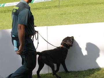 Perros de la Guardia Civil