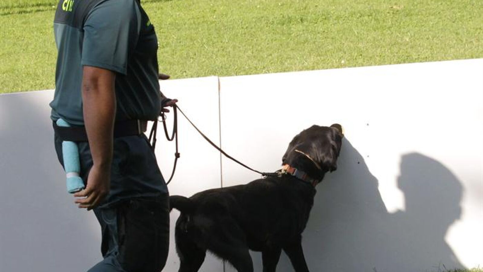 'Blue', un perro de la Guardia Civil localiza en buen estado a una anciana de 78 años desaparecida en A Coruña