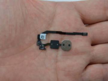 El supuesto escáner de huellas dactilares del nuevo iPhone El supuesto escáner de huellas dactilares del nuevo iPhone