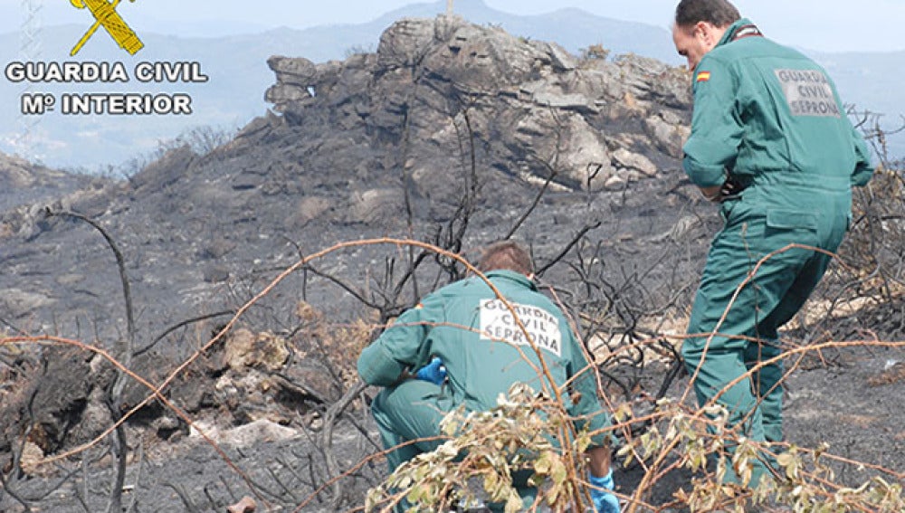 Agentes del Seprona en uno de los incendios de Pontevedra