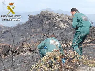 Agentes del Seprona en uno de los incendios de Pontevedra Agentes del Seprona en uno de los incendios de Pontevedra