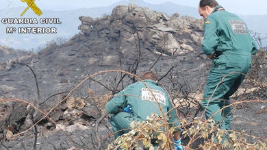 Detienen a una mujer como única responsable de 13 incendios forestales en Pontevedra