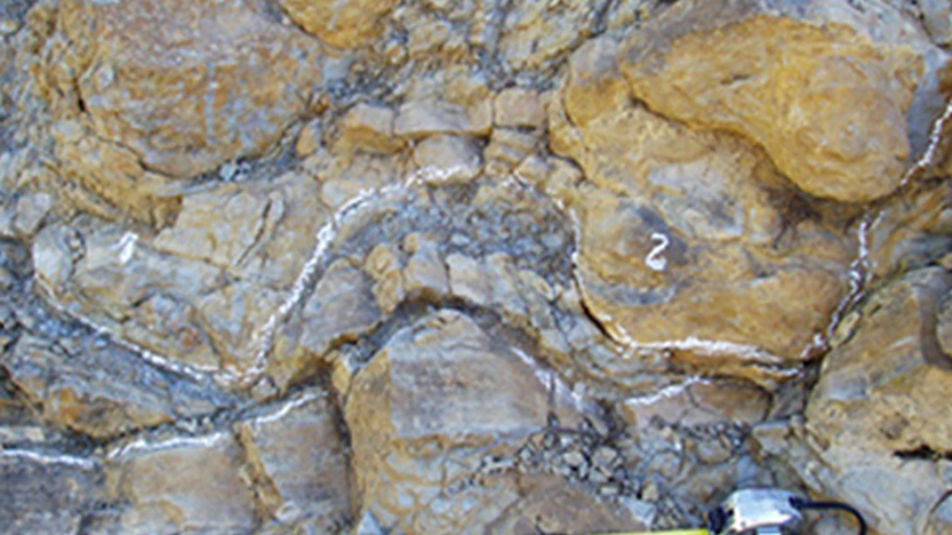 Dinosaurio Dinosaurio