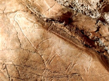 Vista de un grabado de un reno y un zorro polar de la cueva de Altxerri (País Vasco)