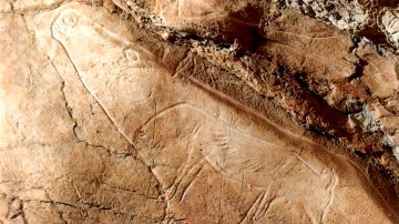 Vista de un grabado de un reno y un zorro polar de la cueva de Altxerri (País Vasco)