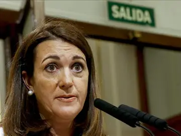 La portavoz del Grupo Socialista en el Congreso de los Diputados, Soraya Rodríguez. La portavoz del Grupo Socialista en el Congreso de los Diputados, Soraya Rodríguez.