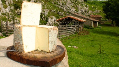 ¿El último quesero de los Picos de Europa?