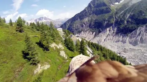Chamonix, desde el punto de vista de un águila Chamonix, desde el punto de vista de un águila