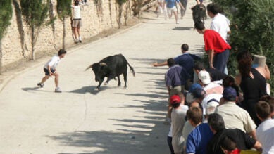 Fallece una mujer alcanzada por un toro en un encierro en Férez, Albacete