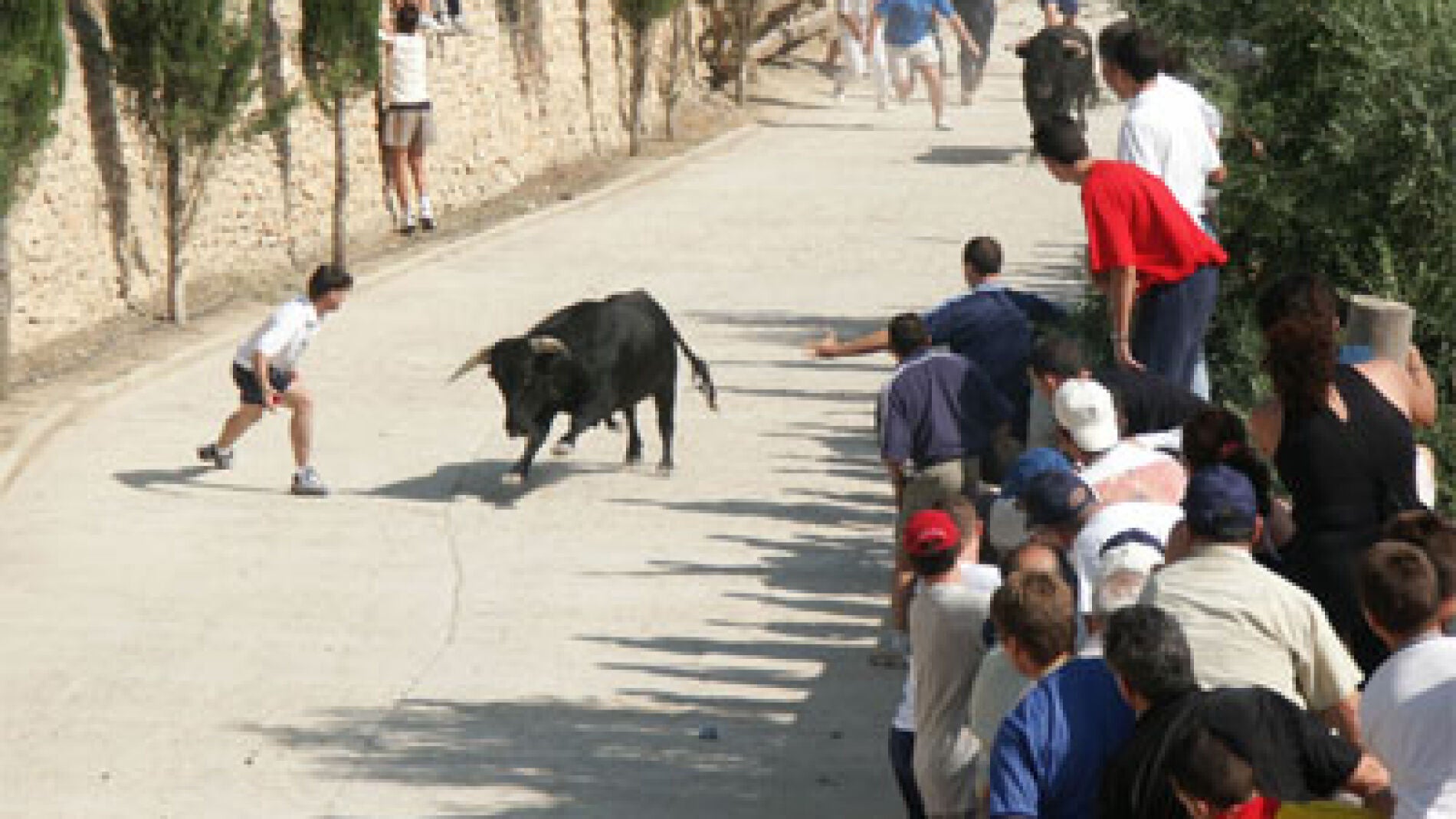 Encierro en F&eacute;rez