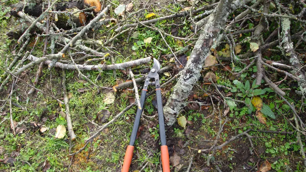Residuos de la poda de árboles Residuos de la poda de árboles