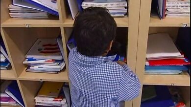 El 80% de los niños necesitan asistencia de sus padres para hacer los deberes