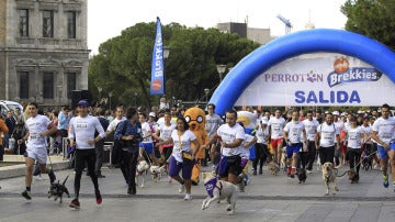 Salida del 'Perrotón 2013'