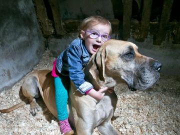 Brianna Lynch y su gran danés Charlie