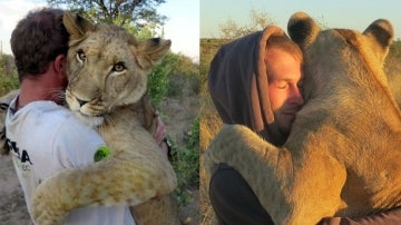 Abrazando a la leona Sirga