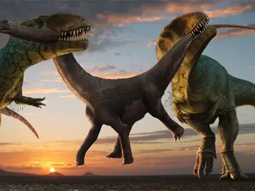 Dos dinosaurios pelean por una presa Dos dinosaurios pelean por una presa