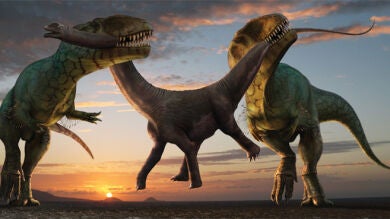 Hallan en Colombia restos del meteorito que hizo desaparecer a los dinosaurios