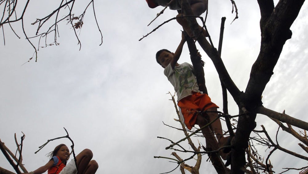 Secuelas del Tifón Haiyan (20-11-2013)