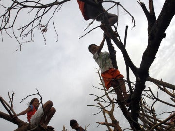 Secuelas del Tifón Haiyan (20-11-2013)