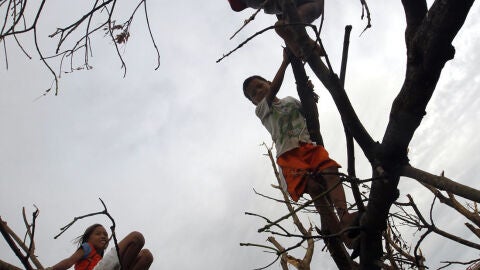 Secuelas del Tif&oacute;n Haiyan (20-11-2013)