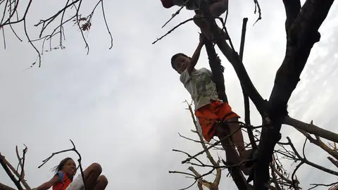 Secuelas del Tifón Haiyan (20-11-2013) Secuelas del Tifón Haiyan (20-11-2013)