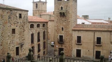 Condenado a tres meses de prisión unl joven que tiró a un perro desde un sexto piso en Cáceres