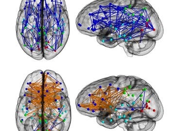 El comportamiento del cerebro masculino