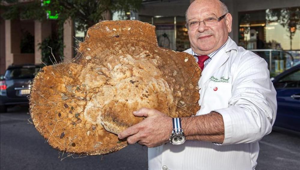 Luis Conde y su seta de 12 kilos