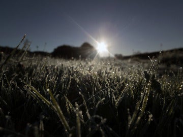 El sol deshace poco a poco la helada