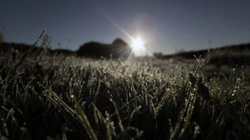 El sol deshace poco a poco la helada