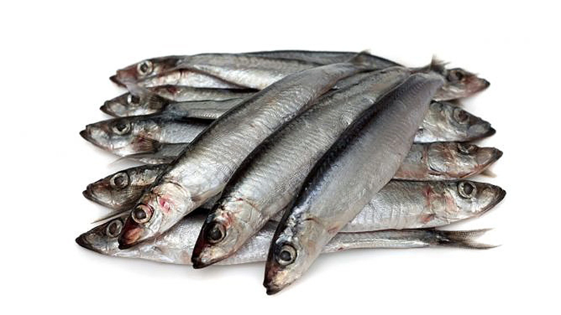 Anchoas Anchoas
