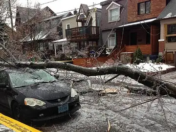 La tormenta de hielo en Toronto ha causado el caos en la ciudad La tormenta de hielo en Toronto ha causado el caos en la ciudad