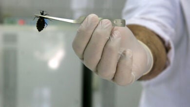 Más de 200.000 personas morirán de Chagas en cinco años por falta terapia eficaz