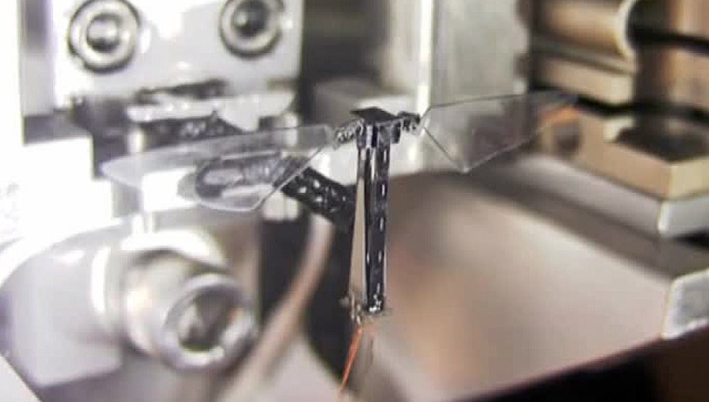 RoboBee, una abeja robot
