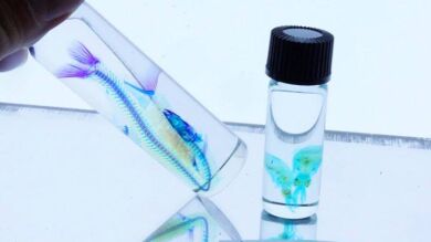 Una alumna se quema el 22% de su cuerpo tras sufrir una explosión cuando hacía un experimento en clase