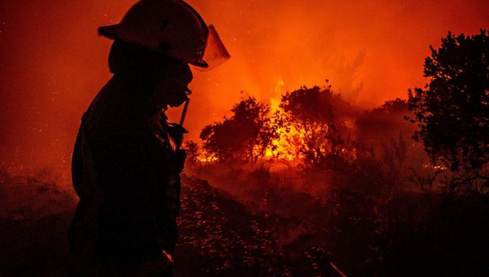 Un bombero intenta controlar un incendio forestal en Chile
