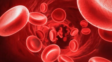 Descubren un método para impedir que las células cancerosas lleguen a los órganos sanos