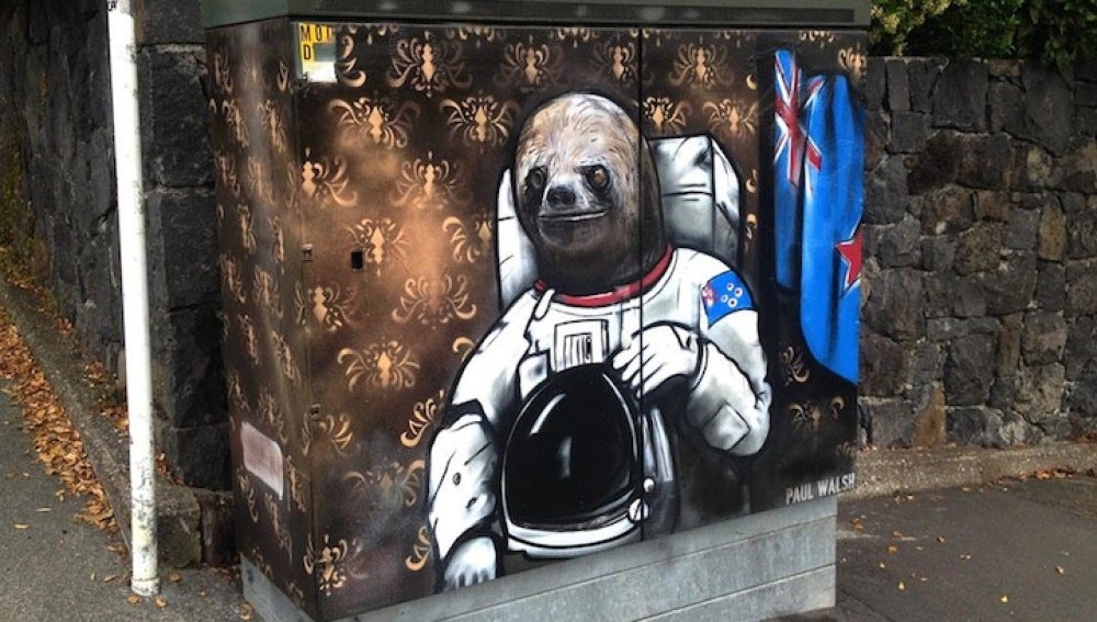 El oso astronauta