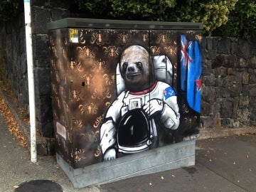 El oso astronauta